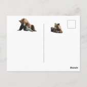 Alaska-briefkaart met grizzly beer cubs briefkaart (Achterkant)