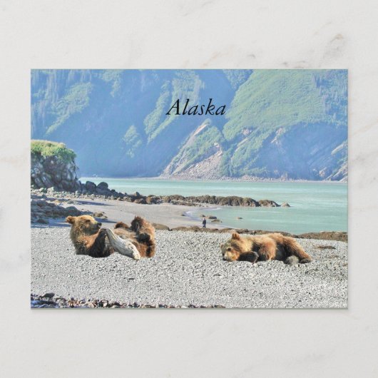 Alaska-briefkaart met grizzly beer cubs briefkaart (Voorkant)