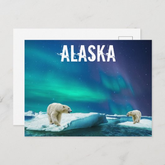 Alaska Briefkaart met Polar Beren Aurora Borealis (Voorkant / Achterkant)