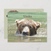 Alaska Briefkaart van grizzly beer (Voorkant / Achterkant)