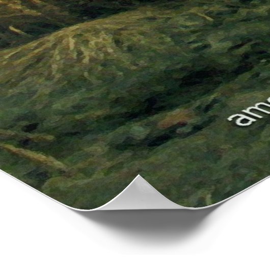 Alaska Brown Beer Poster (Hoek)