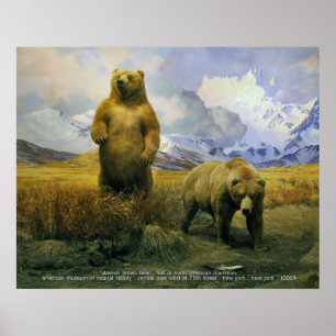 Alaska Brown Beer Poster