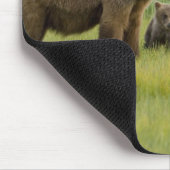 Alaska Bruine Beer Moeder en drie Jongen, Ursus Muismat (Hoek)