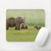 Alaska Bruine Beer Moeder en drie Jongen, Ursus Muismat (Met muis)