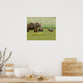 Alaska Bruine Beer Moeder en drie Jongen, Ursus Poster (Keuken)