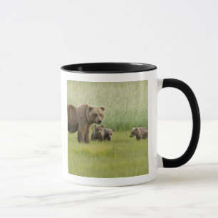 Alaska Bruine Beer Moeder en drie Welpen, Ursus Mok