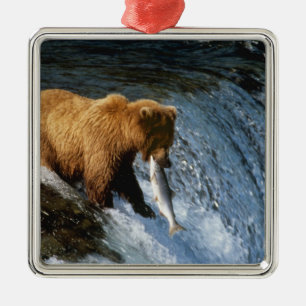 Alaska Bruine Beer vangt zalm bij Brooks Metalen Ornament
