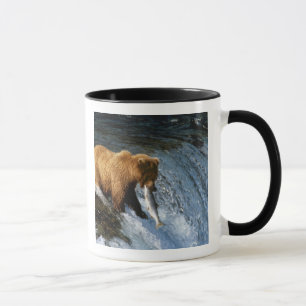 Alaska bruine beer vangt zalm bij Brooks Mok
