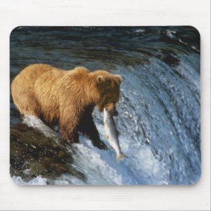 Alaska Bruine Beer vangt zalm bij Brooks Muismat
