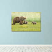 Alaska bruine berin en drie welpen, Ursus Canvas Afdruk (Insitu (Houten vloer))