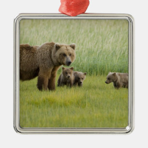 Alaska bruine berin en drie welpen, Ursus Metalen Ornament