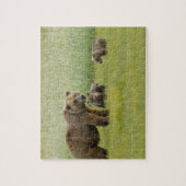 Alaska bruine berin moer en drie welpen, Ursus Legpuzzel (Verticaal)