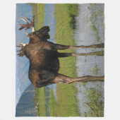 Alaska Bull Moose Antler Rack Outdoorscene Foto Fleece Deken (Voorkant)
