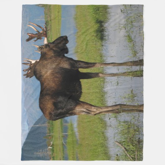 Alaska Bull Moose Antler Rack Outdoorscene Foto Fleece Deken (Voorkant)