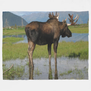 Alaska Bull Moose Antler Rack Outdoorscene Foto Fleece Deken
