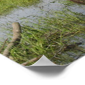 Alaska Bull Moose Antlers Foto gemaakt Poster (Hoek)