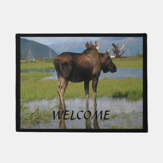 Alaska Bull Moose met Rack Horns Welkom Deurmat (Voorkant)