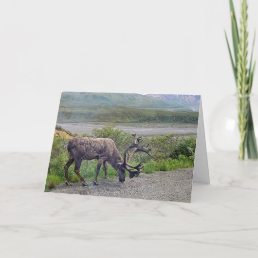 Alaska - Caraïben 1 (Voorkant)