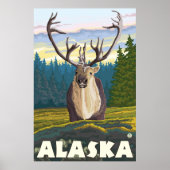 Alaska - Caraïben in de Wilde Poster (Voorkant)