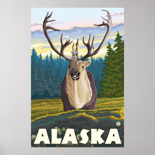Alaska - Caraïben in de Wilde Poster (Voorkant)