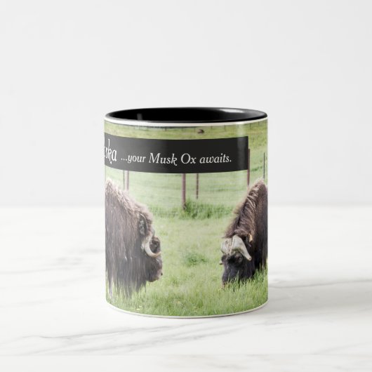 Alaska Coffee Mugs - Musk Ox Awages Tweekleurige Koffiemok (Center)