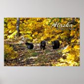 Alaska de weg minder gereisd poster (Voorkant)