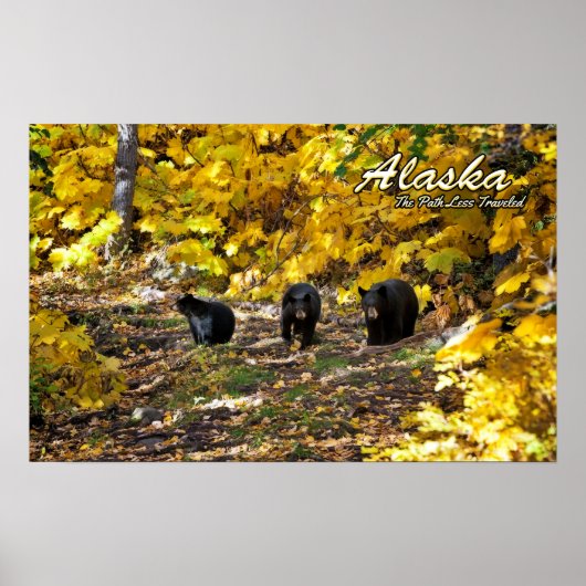 Alaska de weg minder gereisd poster (Voorkant)