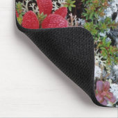 Alaska, Denali National Park, Arctic tundra is Muismat (Hoek)