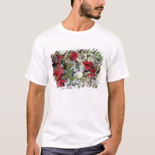 Alaska, Denali National Park, Arctische toendra is T-shirt