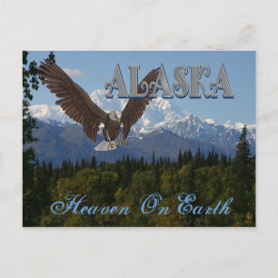 Alaska Denali National Park Mount McKinley Card Briefkaart