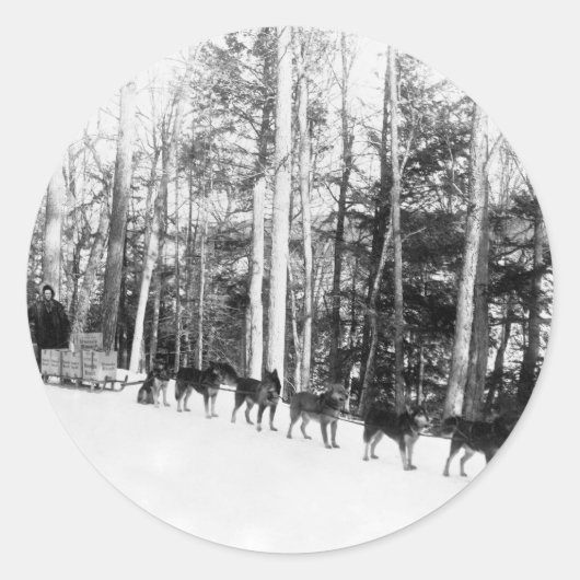 Alaska Dog Sledding Ronde Sticker (Voorkant)