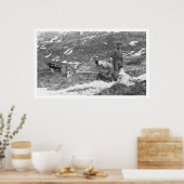 Alaska Dog Team Hunting 1912 Poster (Keuken)