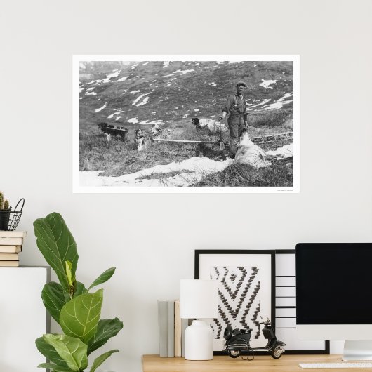 Alaska Dog Team Hunting 1912 Poster (Thuiskantoor)