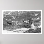 Alaska Dog Team Hunting 1912 Poster (Voorkant)