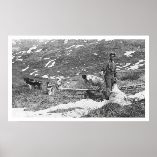 Alaska Dog Team Hunting 1912 Poster (Voorkant)