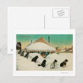 Alaska Dogsled Team rust in SnowState Briefkaart (Voorkant / Achterkant)