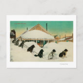 Alaska Dogsled Team rust in SnowState Briefkaart (Voorkant)