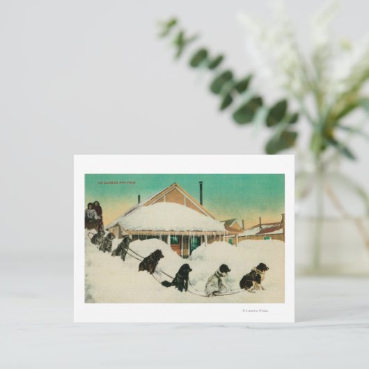 Alaska Dogsled Team rust in SnowState Briefkaart (Staand voorkant)