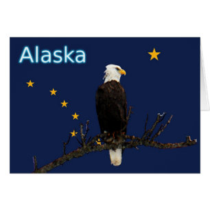 Alaska Eagle en Flag