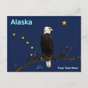 Alaska Eagle en Flag Briefkaart