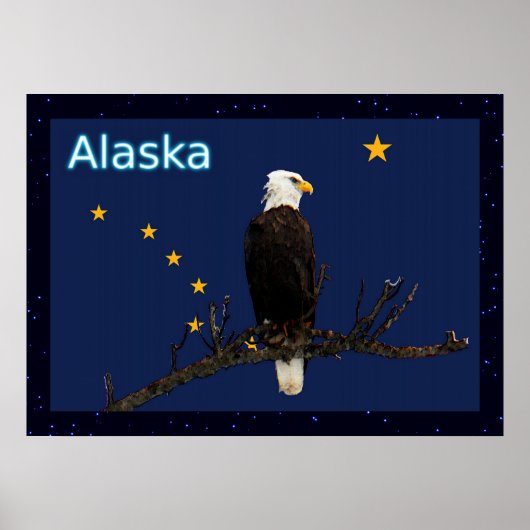 Alaska Eagle en Flag Poster (Voorkant)
