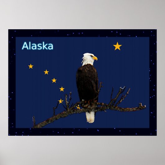 Alaska Eagle en Flag Poster (Voorkant)