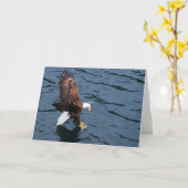 Alaska Eagle op het water Kaart (Gele Bloem)