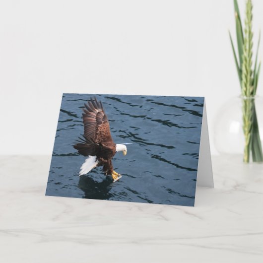 Alaska Eagle op het water Kaart (Voorkant)