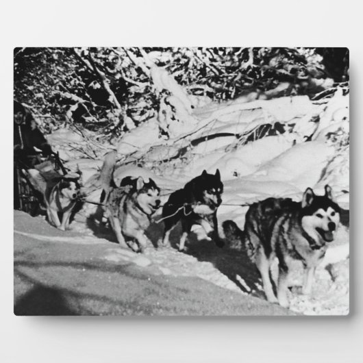  Alaska eskimo Malamute sled race 1970 Fotoplaat (Voorkant)