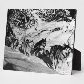  Alaska eskimo Malamute sled race 1970 Fotoplaat (Zijkant)