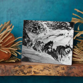  Alaska eskimo Malamute sled race 1970 Fotoplaat (Zijkant)