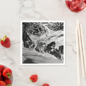  Alaska eskimo Malamute sled race 1970 Servetten (Insitu)