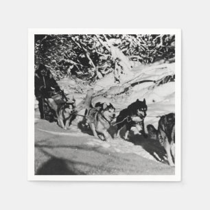 Alaska eskimo Malamute sled race 1970 Servetten