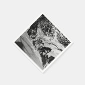  Alaska eskimo Malamute sled race 1970 Servetten (Hoek)